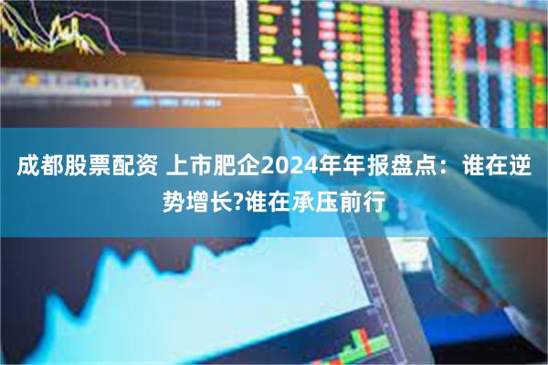 成都股票配资 上市肥企2024年年报盘点：谁在逆势增长?谁在承压前行