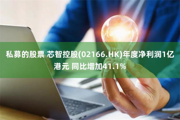 私募的股票 芯智控股(02166.HK)年度净利润1亿港元 同比增加41.1%