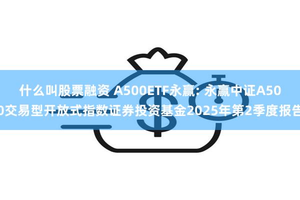 什么叫股票融资 A500ETF永赢: 永赢中证A500交易型开放式指数证券投资基金2025年第2季度报告