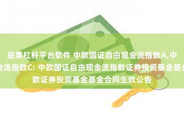 股票杠杆平台软件 中欧国证自由现金流指数A,中欧国证自由现金流指数C: 中欧国证自由现金流指数证券投资基金基金合同生效公告