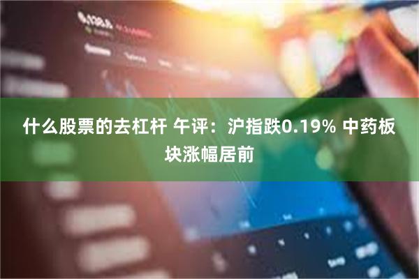 什么股票的去杠杆 午评：沪指跌0.19% 中药板块涨幅居前