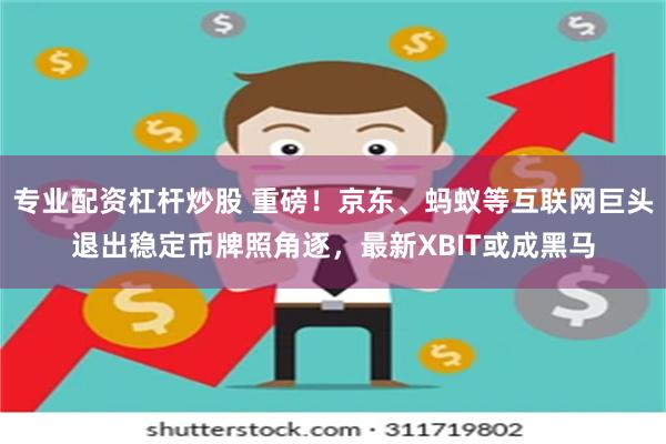 专业配资杠杆炒股 重磅！京东、蚂蚁等互联网巨头退出稳定币牌照角逐，最新XBIT或成黑马