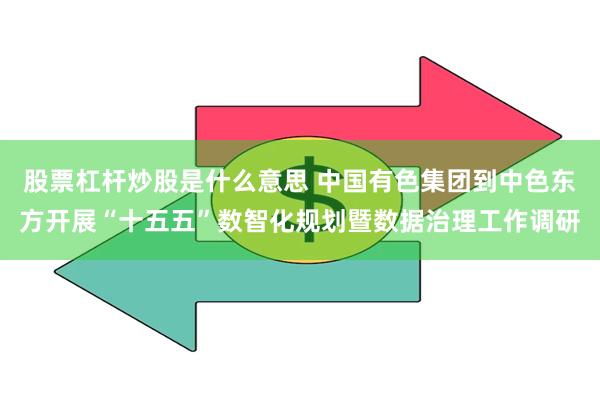 股票杠杆炒股是什么意思 中国有色集团到中色东方开展“十五五”数智化规划暨数据治理工作调研