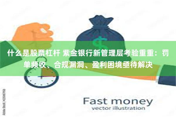 什么是股票杠杆 紫金银行新管理层考验重重：罚单频收、合规漏洞、盈利困境亟待解决