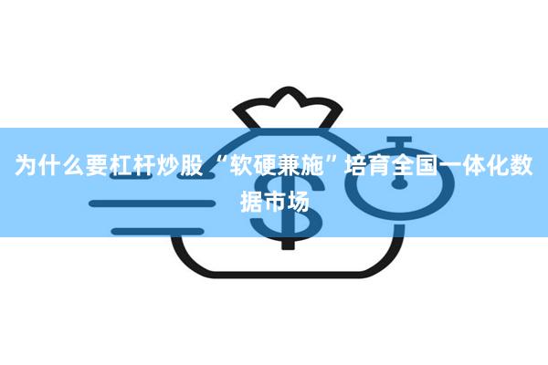 为什么要杠杆炒股 “软硬兼施”培育全国一体化数据市场
